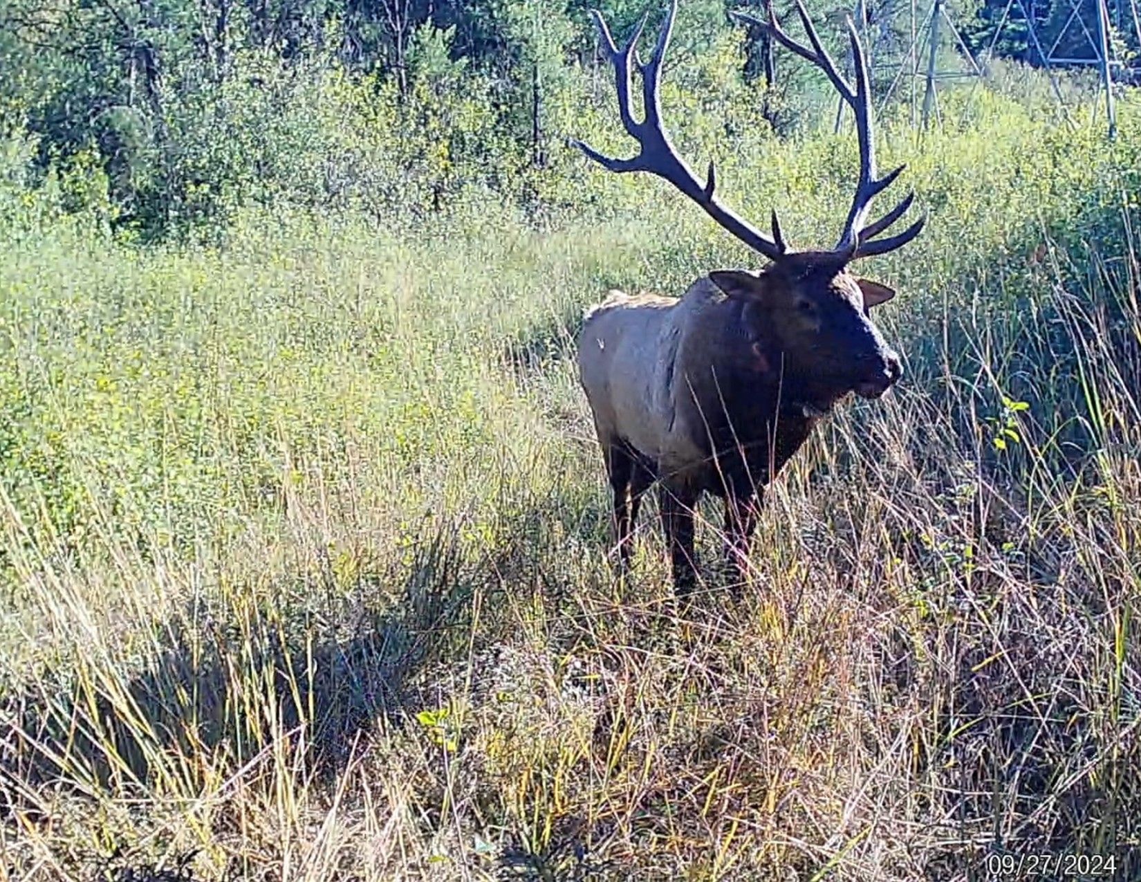 Listing Photo: Trail Camera Photo7